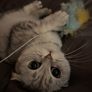 Fundraising Page: Jenna Schnitzer